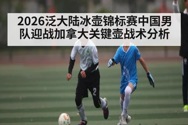 2026泛大陆冰壶锦标赛中国男队迎战加拿大关键壶战术分析