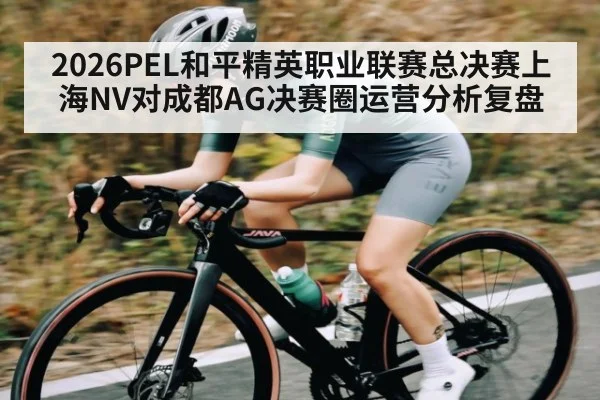 2026PEL和平精英职业联赛总决赛上海NV对成都AG决赛圈运营分析复盘